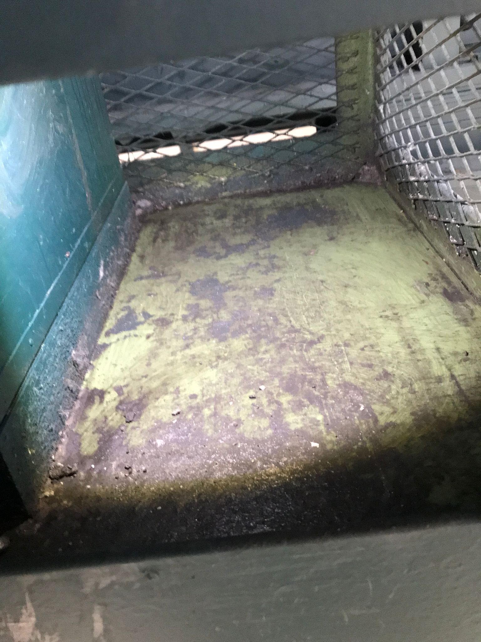 Dachbereich nach der Taubenabwehr, gereinigt